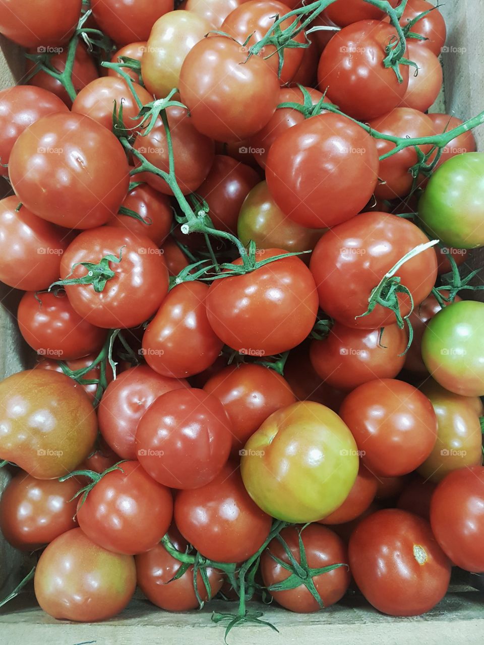 Fresh Tomatoe fruit and vegetable