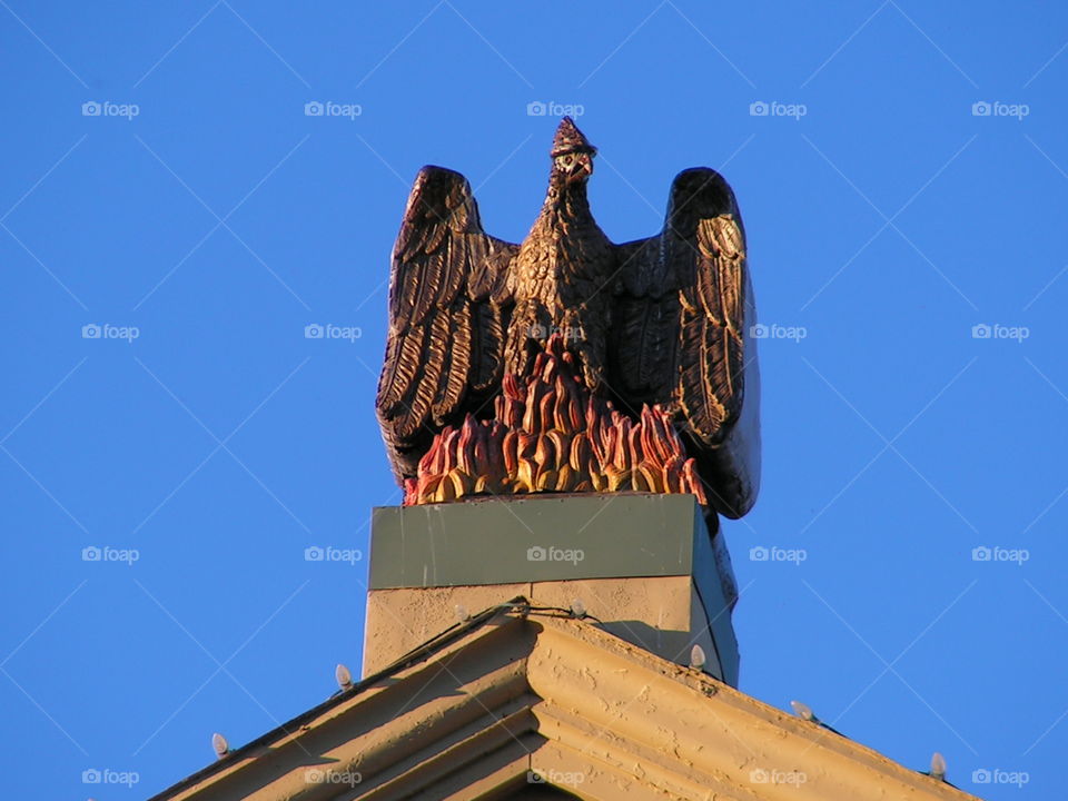 Firebird on top of building