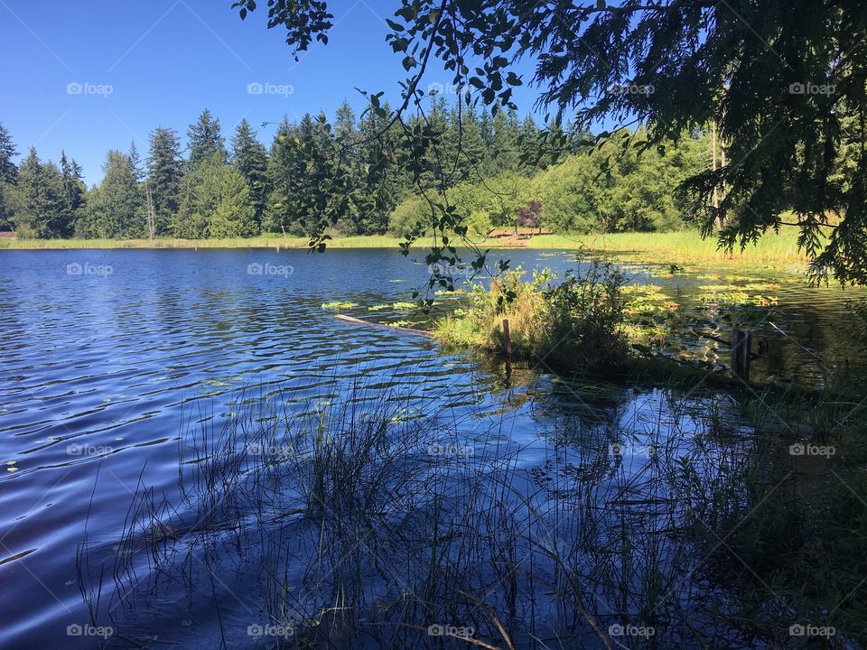  Buck Lake, Hansville, WA