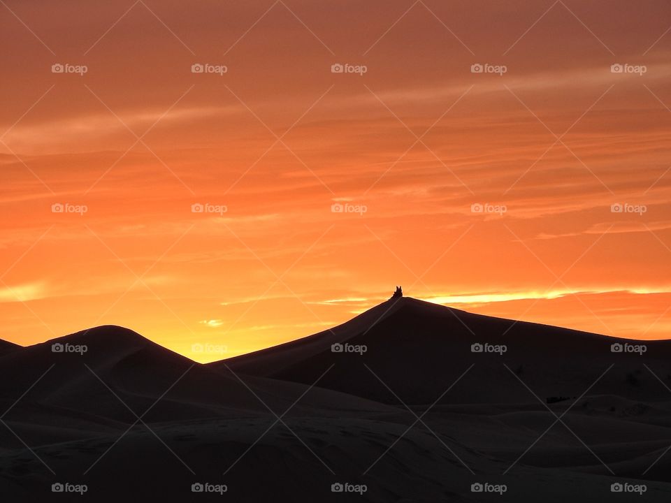 Climbing the dunes