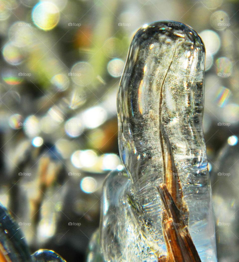 Ice storm paralyzed Northwest Florida! Not all is bad, look at the brilliant crystal Encrusted blades if Grass!