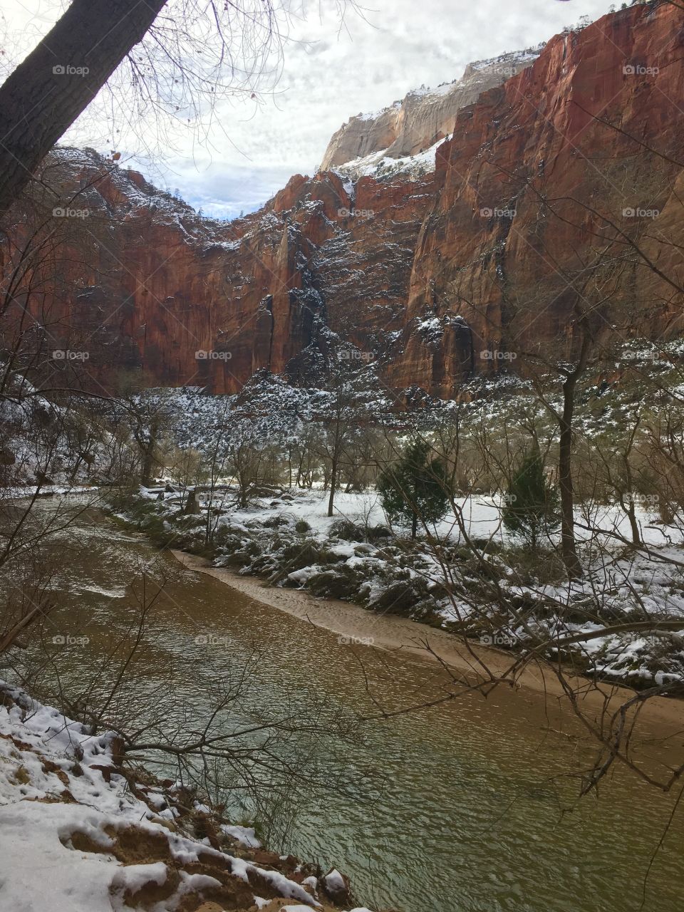 Stream flowing in zion national park