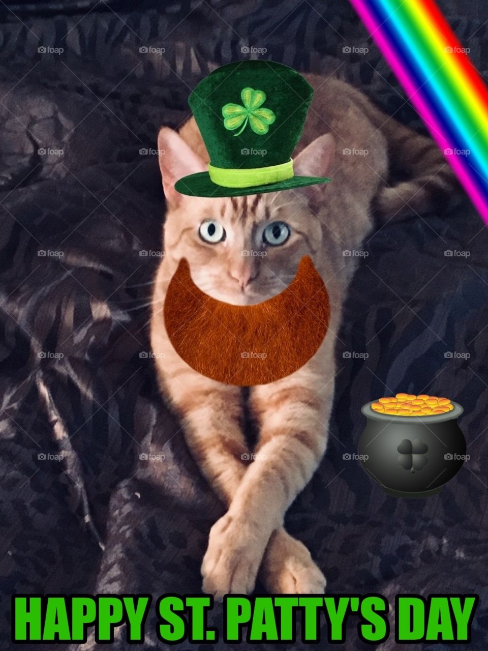 Ginger leprechaun kitty cat 😻