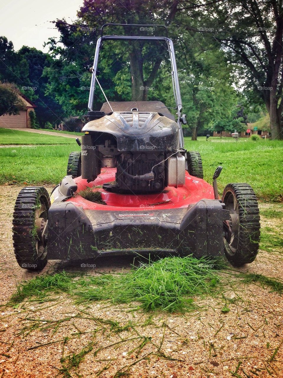 Summer mowing