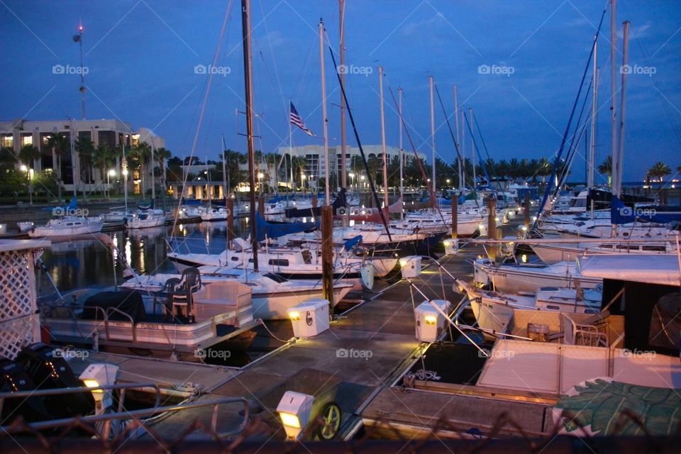 Marina at night