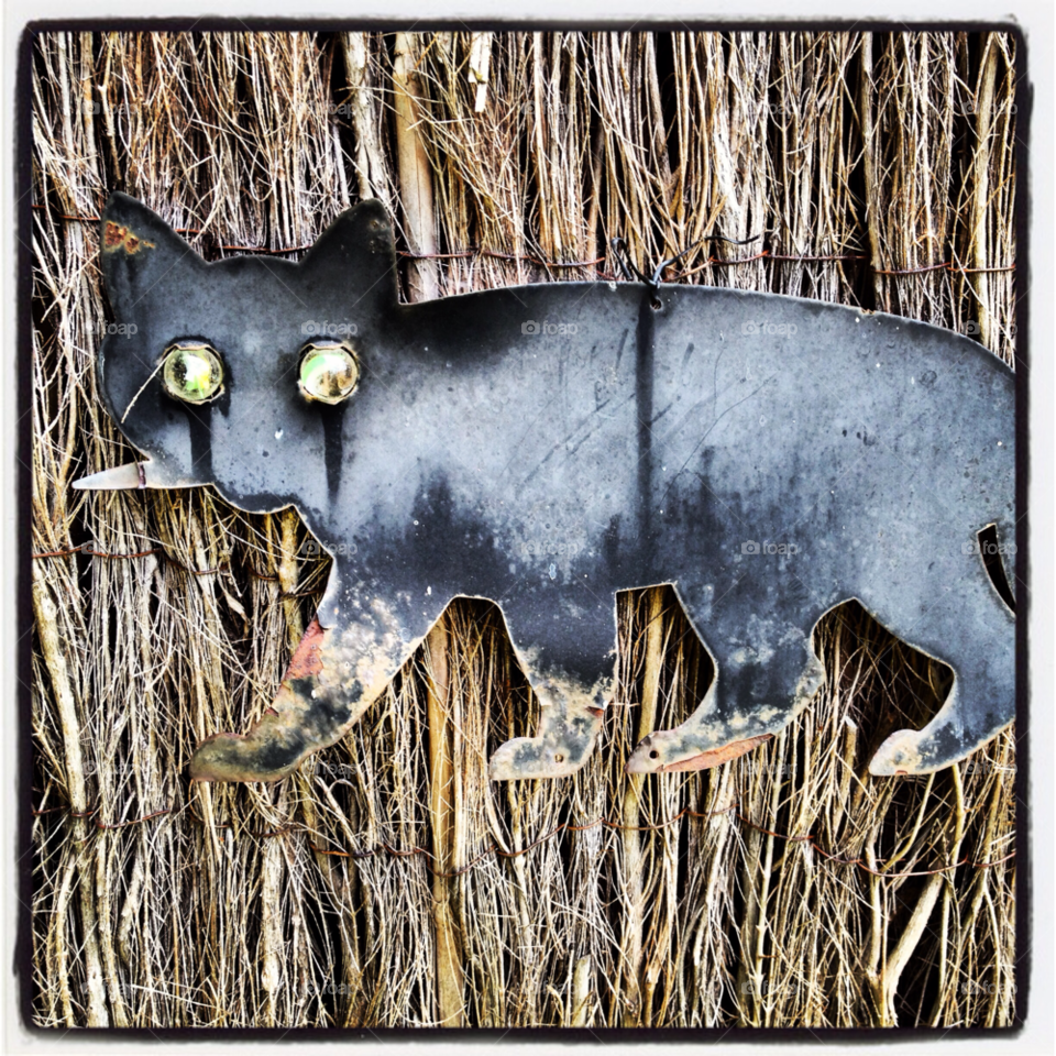 garden cat ornament outside by wittleme