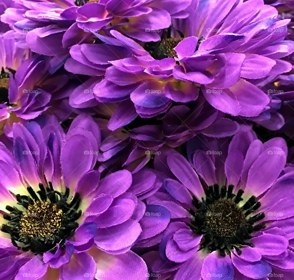 Purple artificial flowers
