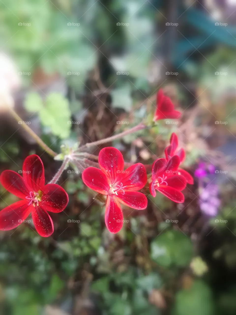 Nature