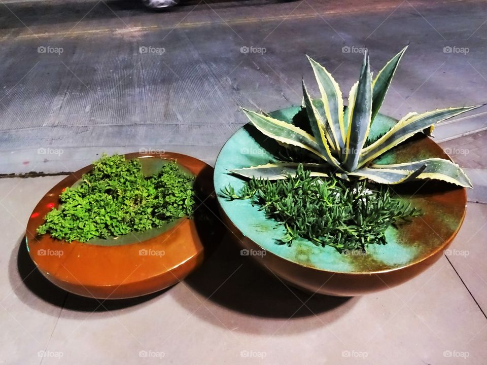 Plantpots in the street