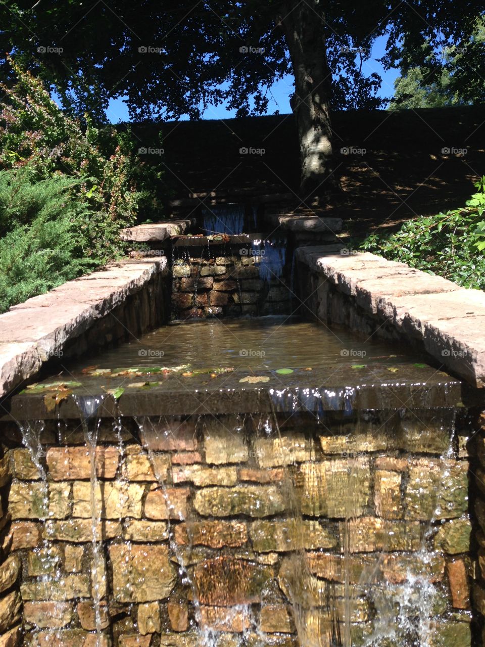 Sunlight on falling water