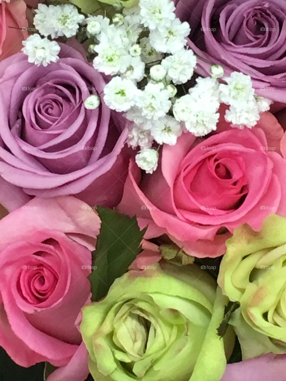 Roses, various colors