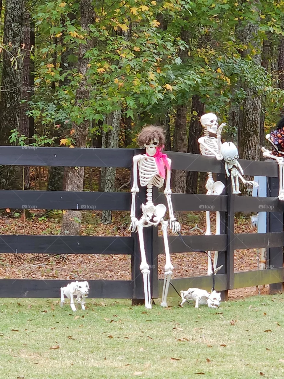 Halloween Decor