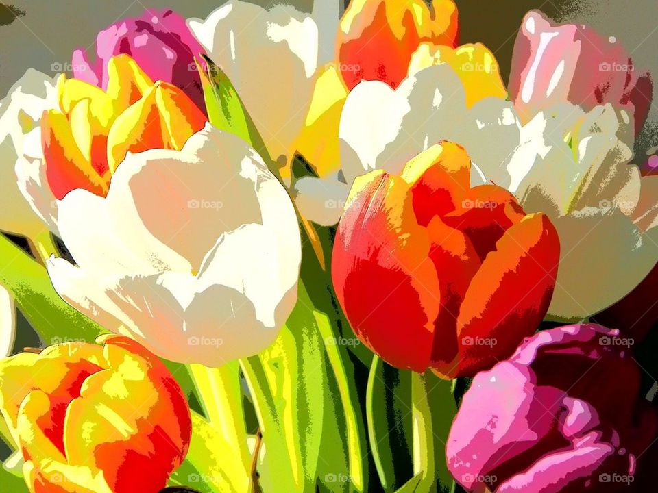 Graphic tulips