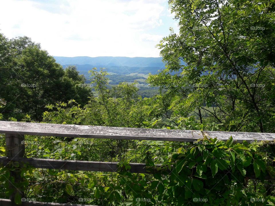 Scenic view in Virginia.