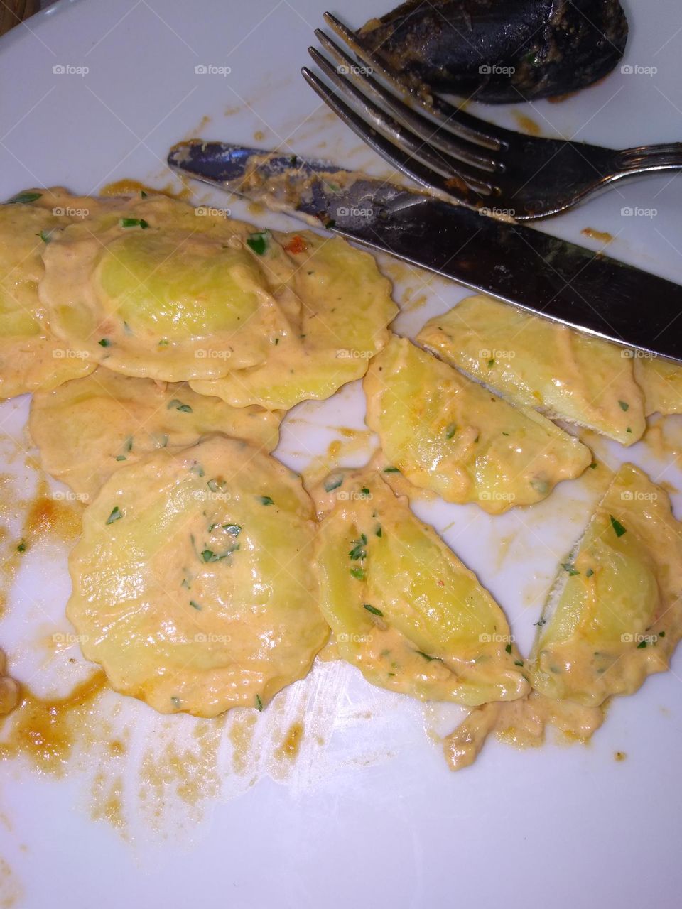 Editors' Choice - Photo of the Week