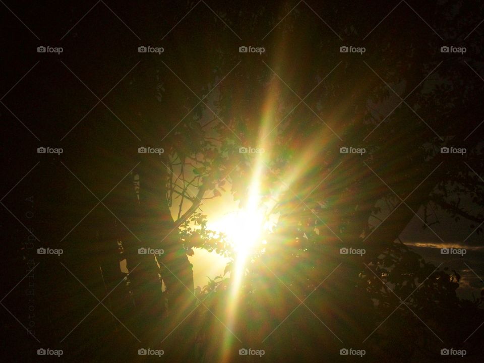 Sun rays shining through the sun,sun,rays,shining,summer,sunlight,sunshine,sunset,nature,reflection,landscape,spring