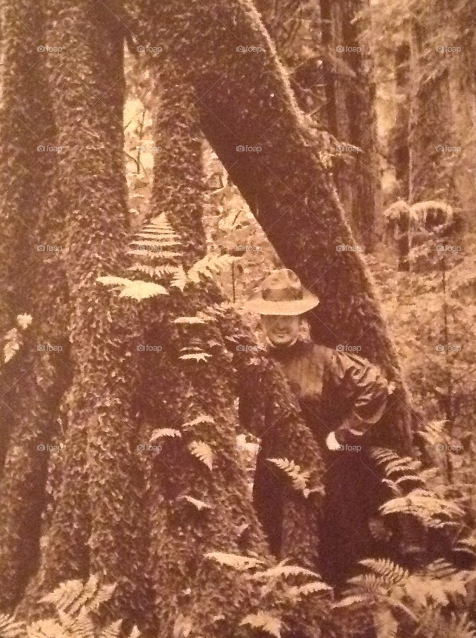 Woman and a tree