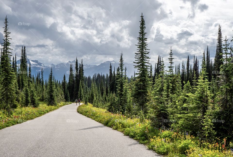 Hikers on trail in Mount Revelstoke National Park, Canada 