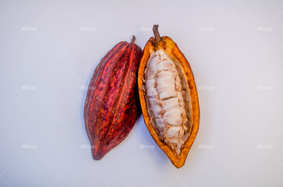 brazilian fruits: cocoa