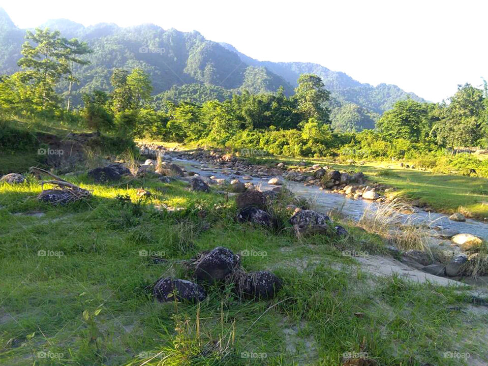 Beautiful green scenery