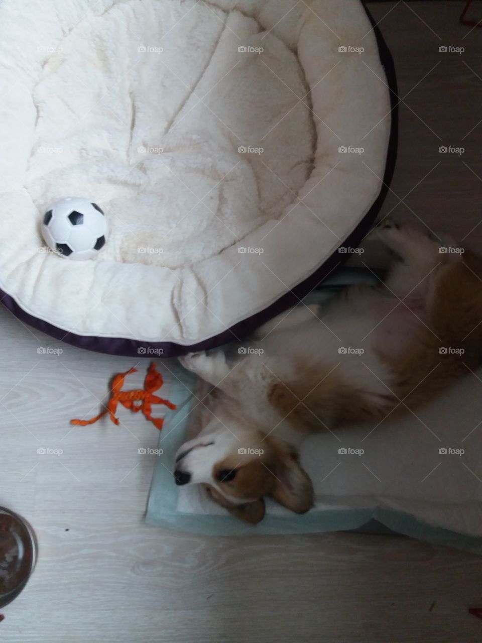 too tired to go to bed