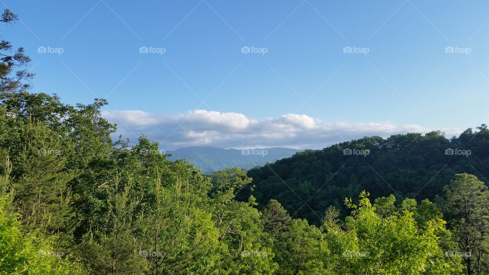 Tennessee skyline