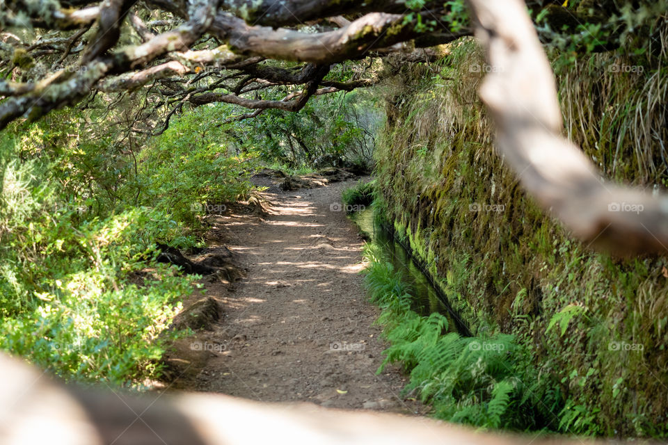 Way in a levada