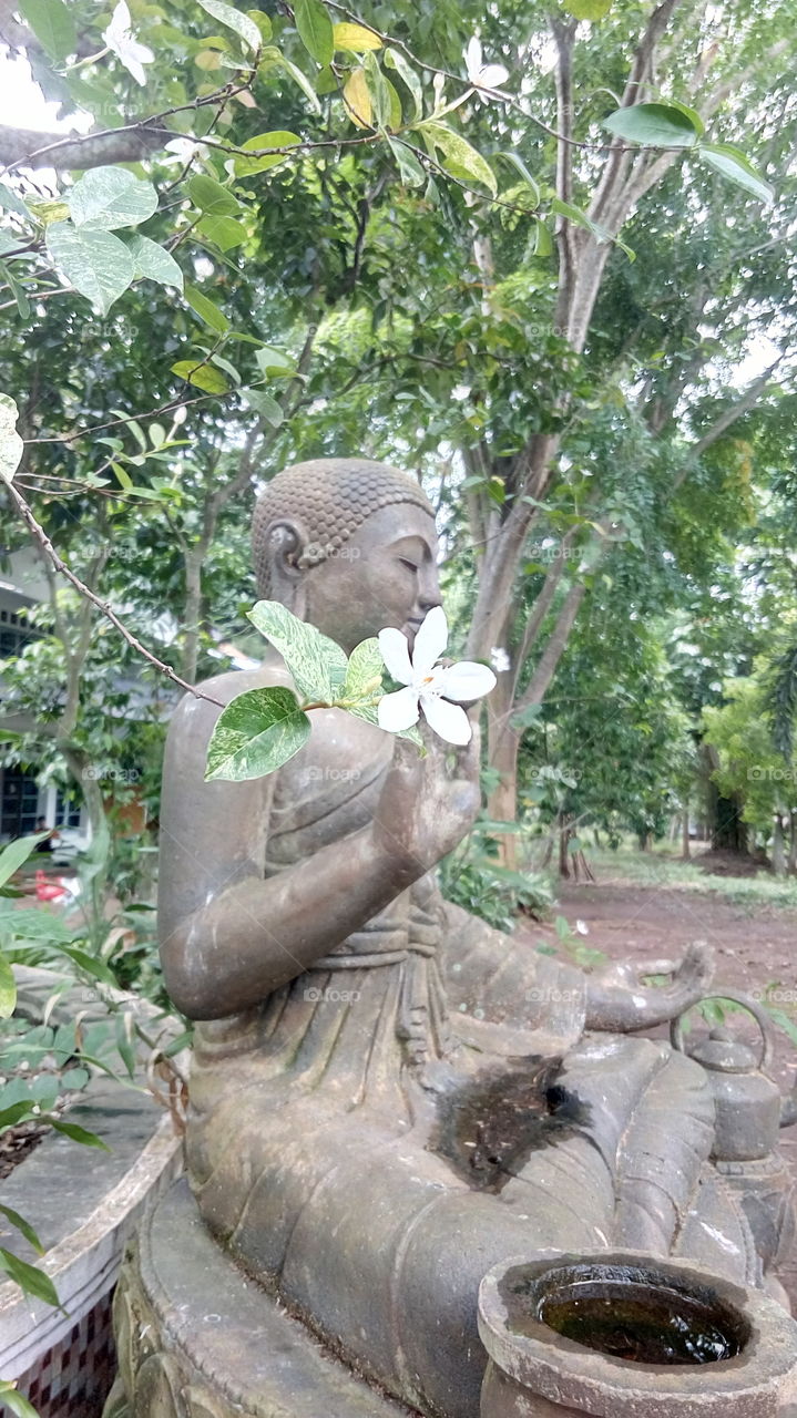 buddha and white flower