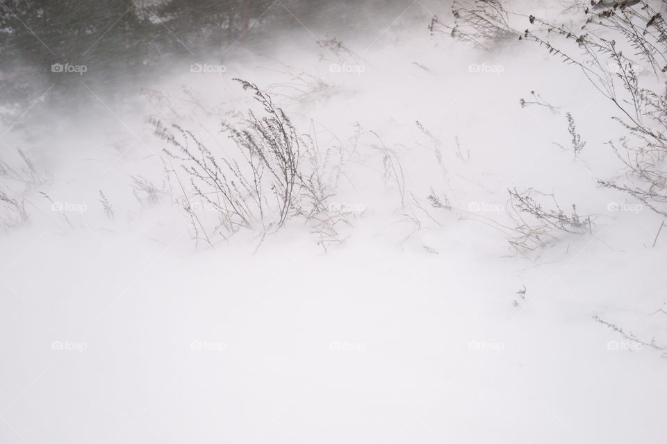 snowstorm on a Micro level