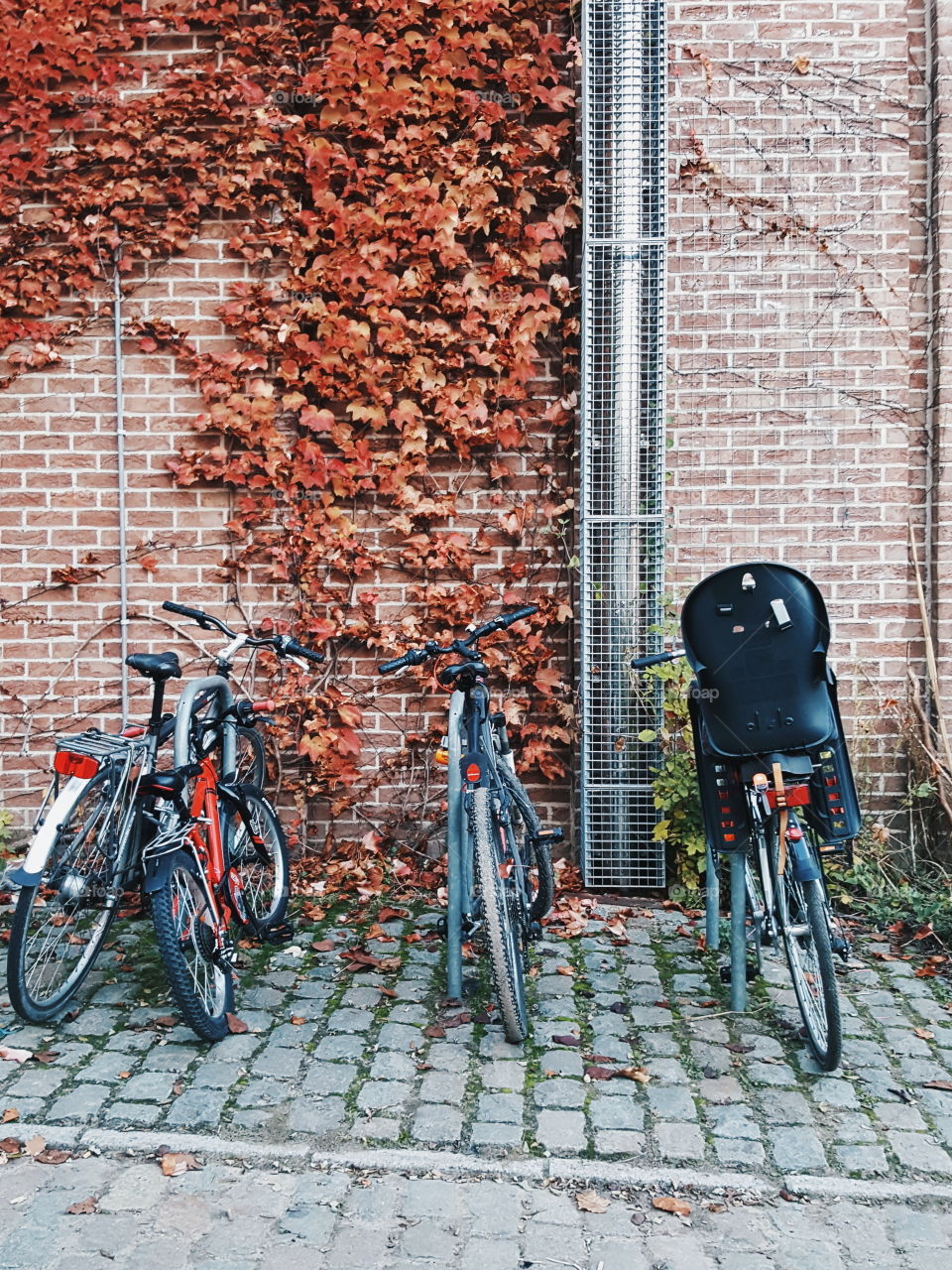 Wheel, Street, Road, Bike, Urban