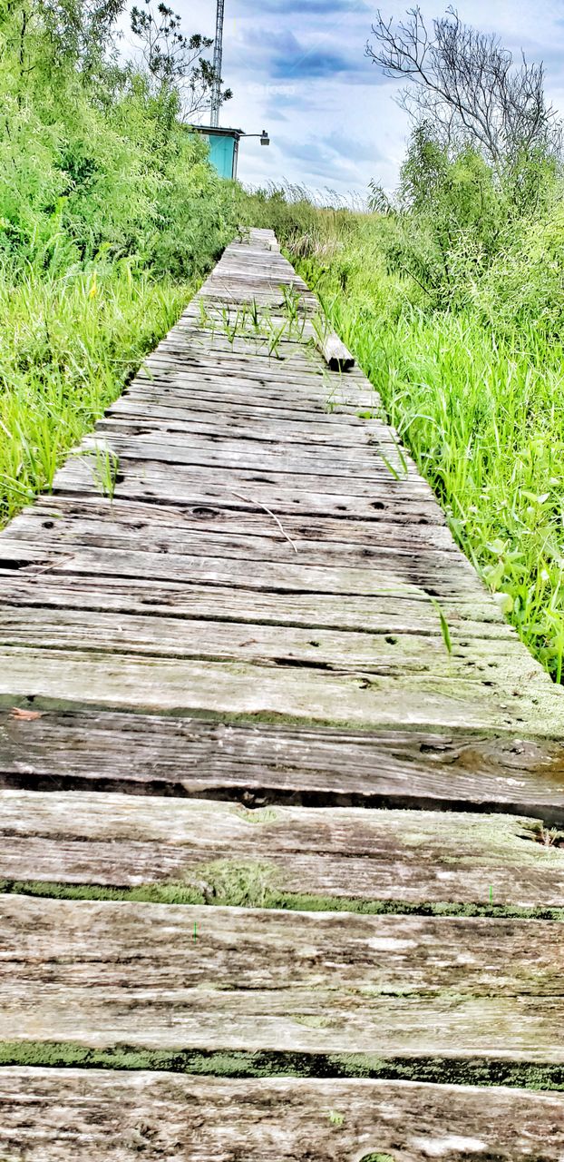 Wood planks leading to the Everglades, beautiful hidden treasure