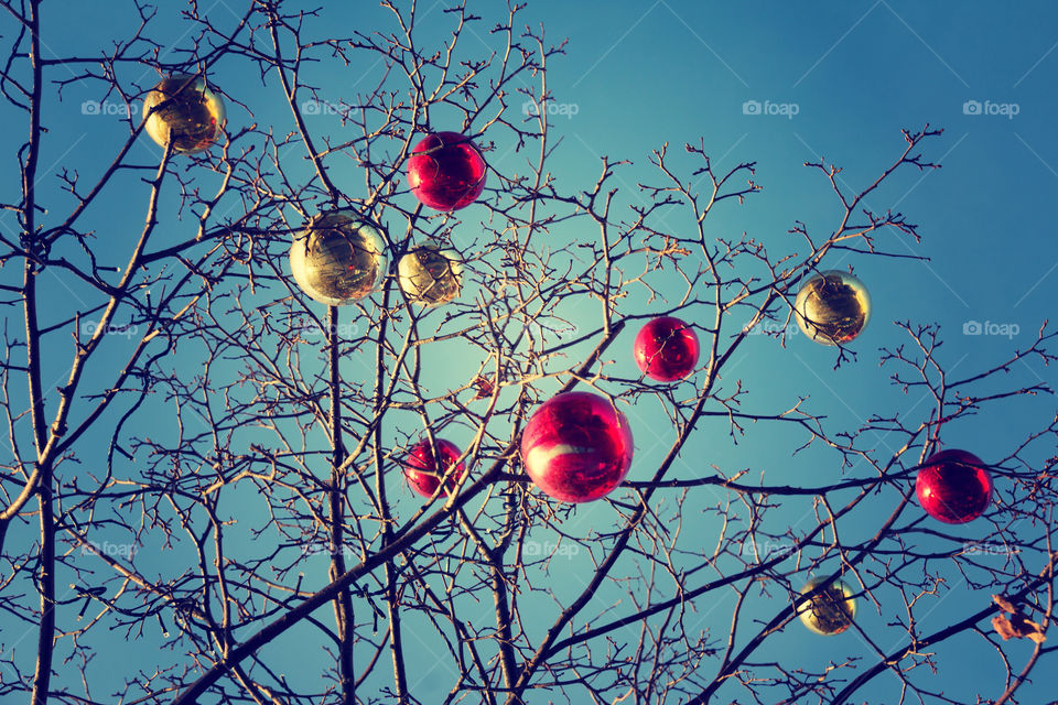 Christmas bauble hang on bare tree