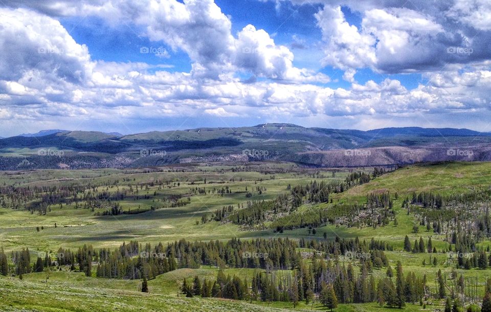 Yellowstone National Park 
June 2013