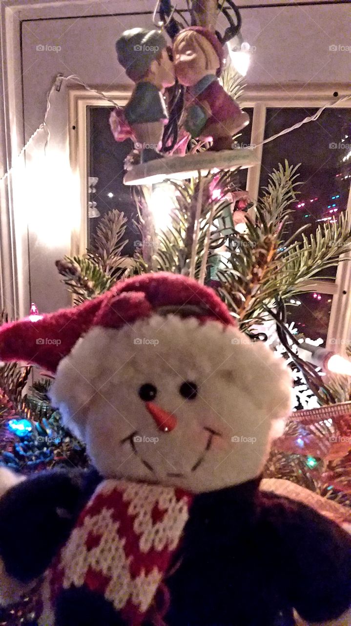 Finally I am out of the trunk!