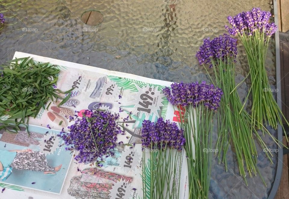 making lavender bouquets