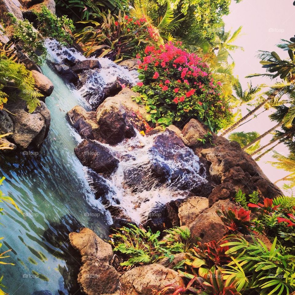 Hawaii waterfall