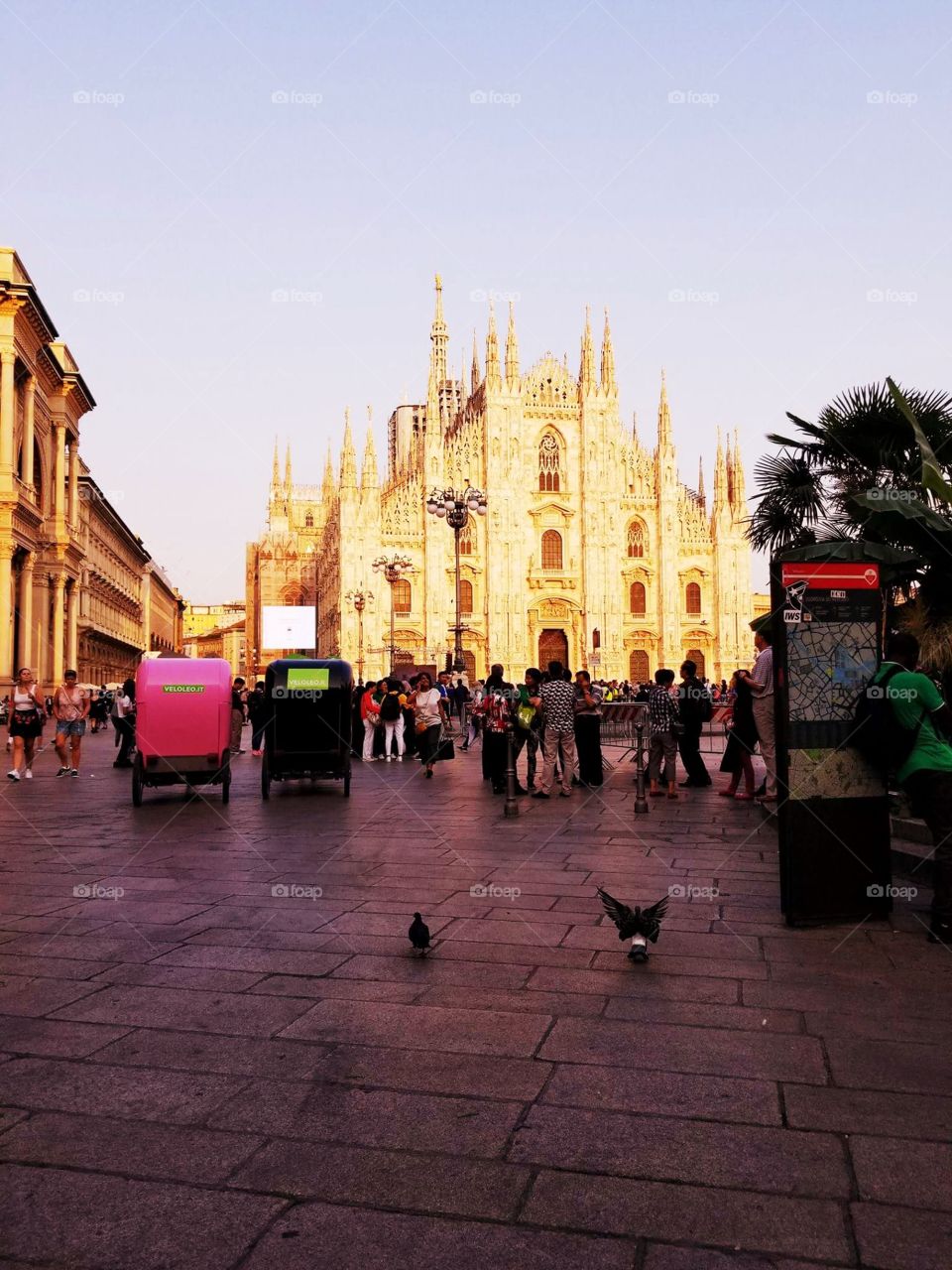 Piazza  del Duomo