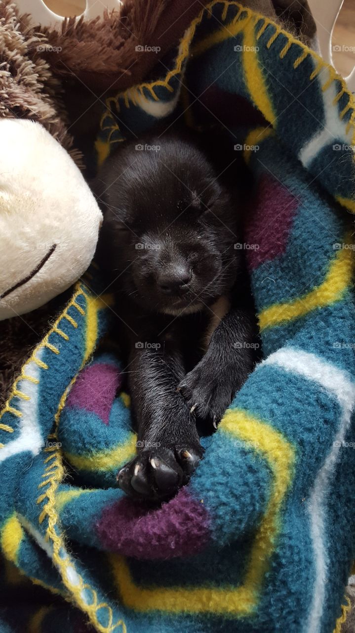 Duckers when he was a baby