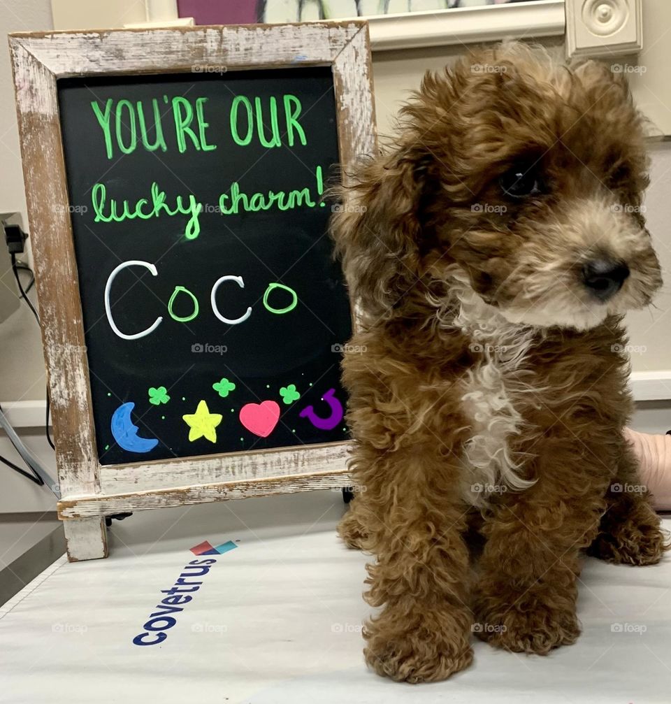 Coco 