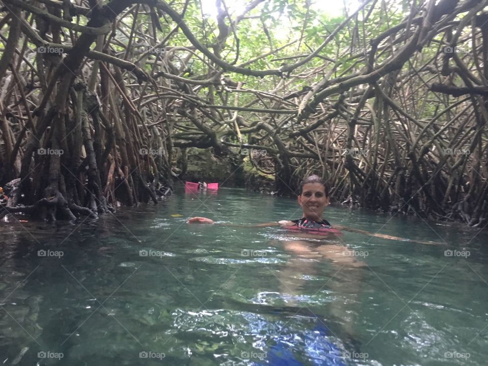 Water, River, Mangrove, Tropical, Travel