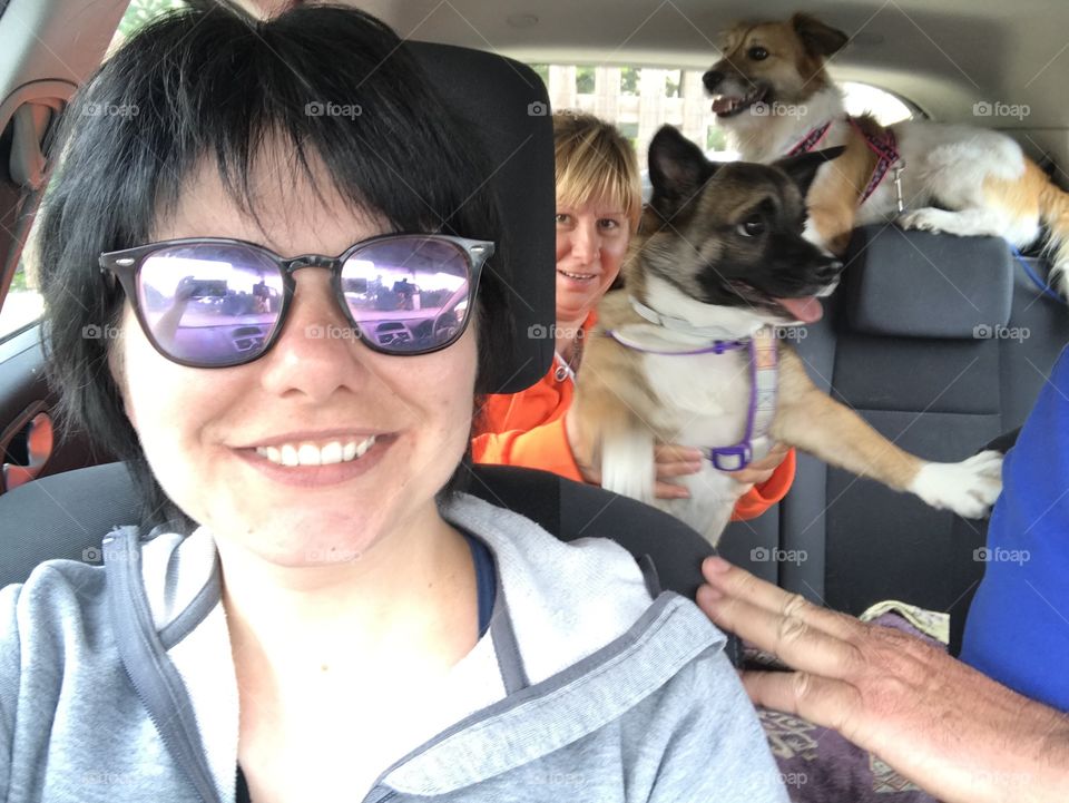 Traveling with the family and our dogs. Really enjoyed it.