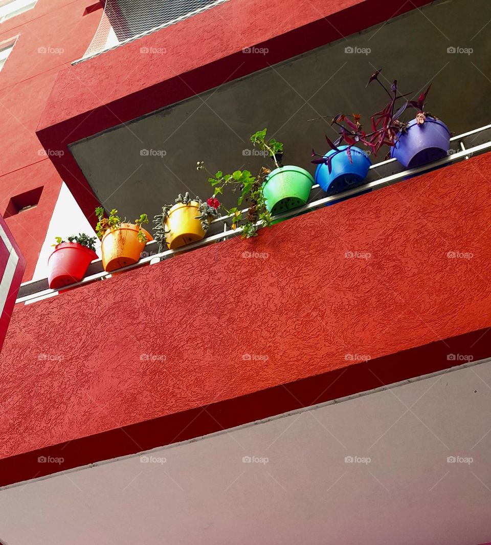 El orgullo sale al balcón 🌈