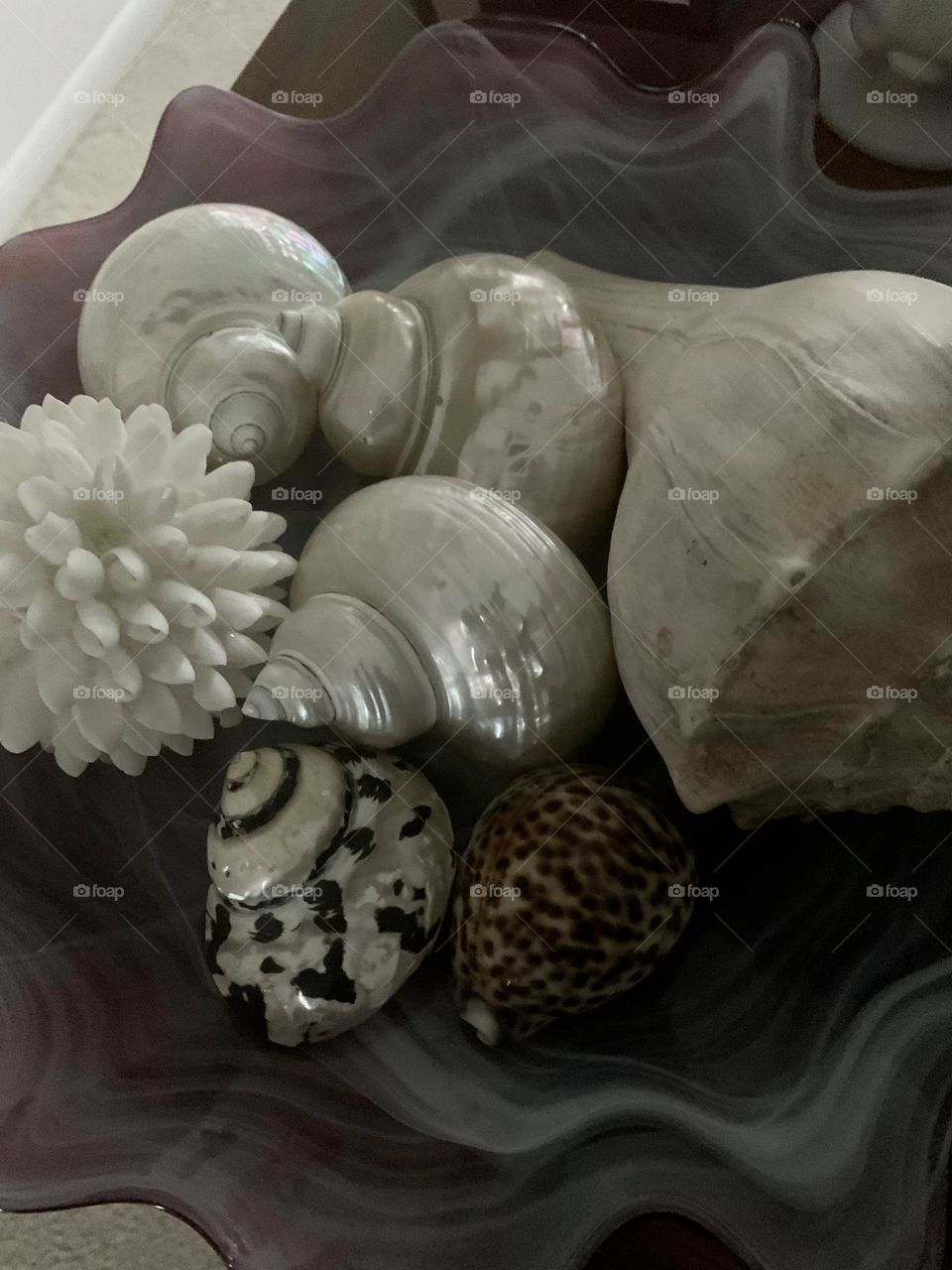 Shells 2