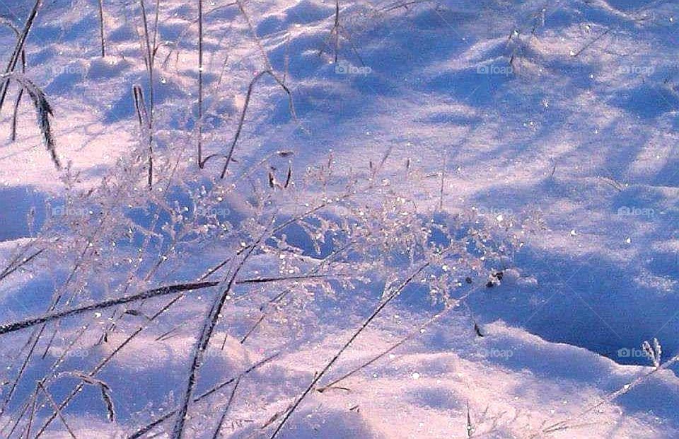 Frosty grass straws