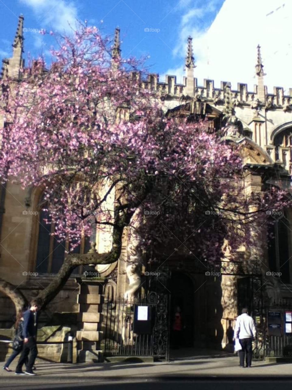Beautiful Oxford 