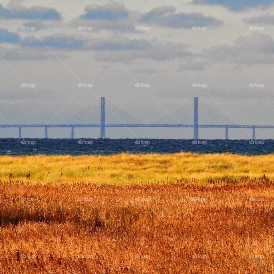 Landmark in Autumn