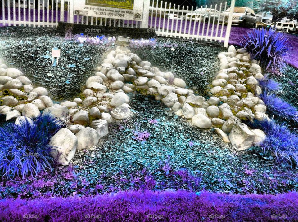 Groovy rock garden display 