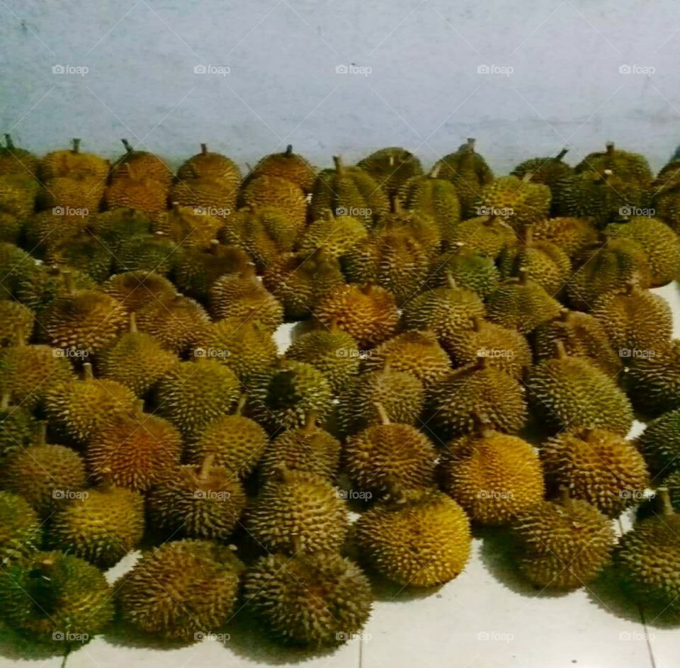 Durian, Imdonesian fruit