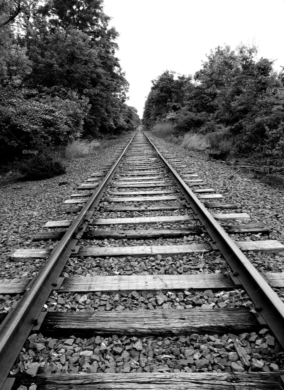 Rail of life, Short cut, Black and White