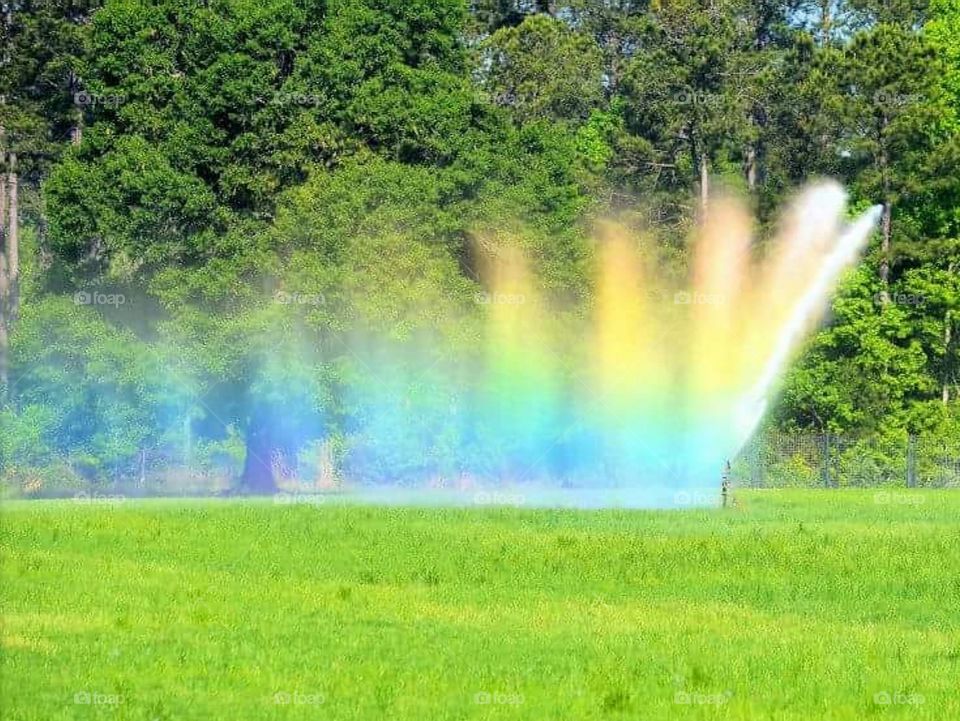 sprinkler rainbow